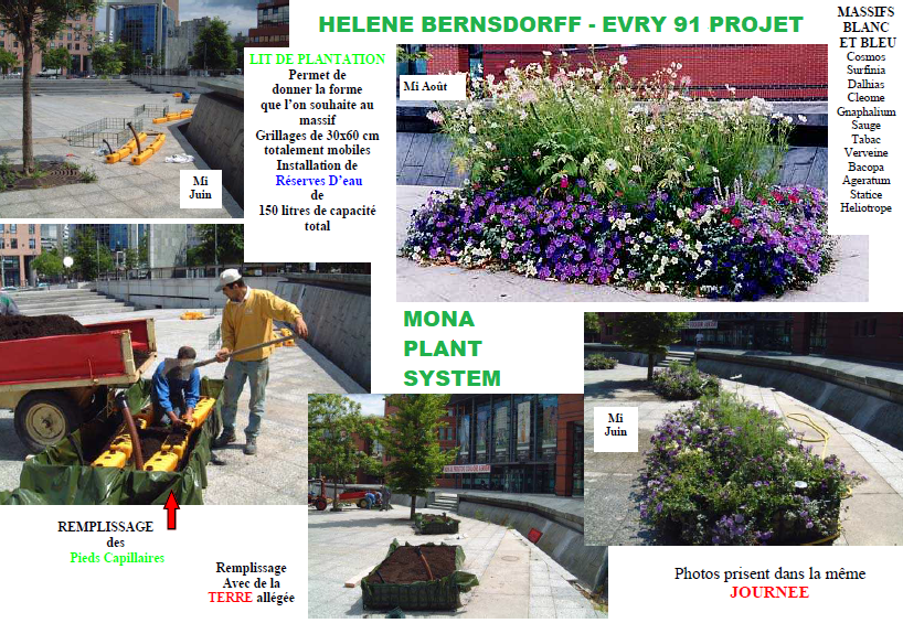 HELENE BERNSDORFF - EVRY 91 PROJET MONA PLANT SYSTEM